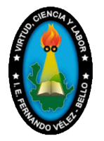 Contenidos IEFV